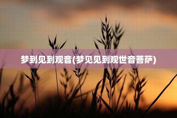 梦到见到观音(梦见见到观世音菩萨)