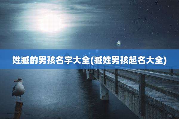 姓臧的男孩名字大全(臧姓男孩起名大全)