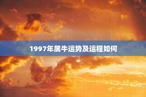 1997年属牛运势及运程如何