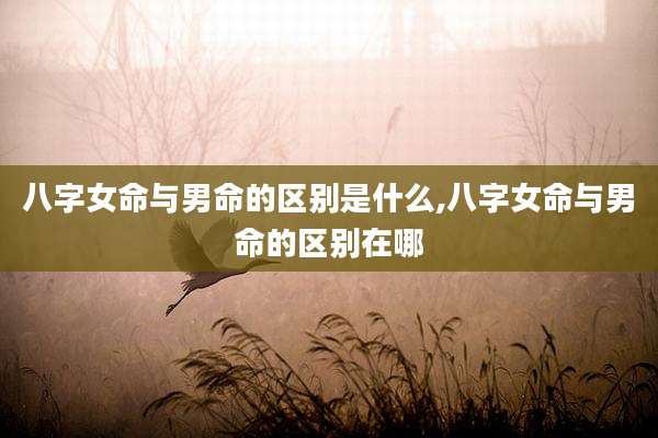八字女命与男命的区别是什么,八字女命与男命的区别在哪