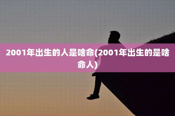 2001年出生的人是啥命(2001年出生的是啥命人)