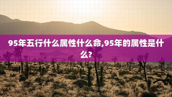 95年五行什么属性什么命,95年的属性是什么?
