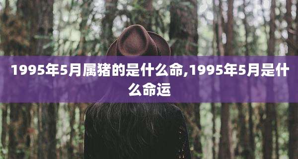 1995年5月属猪的是什么命,1995年5月是什么命运