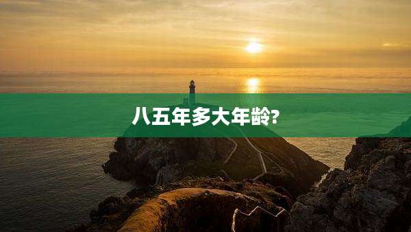 八五年多大年龄?
