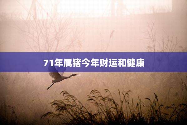 71年属猪今年财运和健康