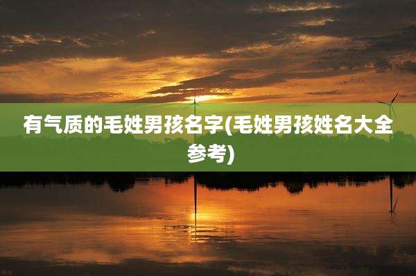 有气质的毛姓男孩名字(毛姓男孩姓名大全 参考)
