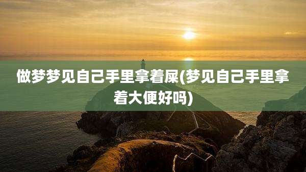 做梦梦见自己手里拿着屎(梦见自己手里拿着大便好吗)