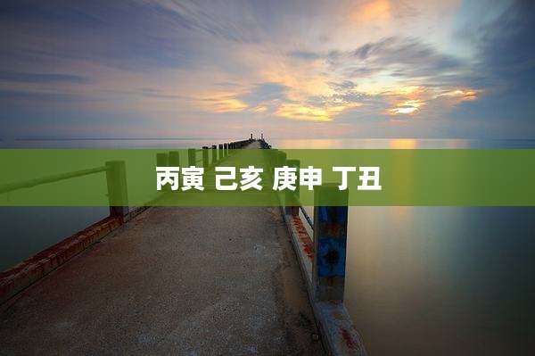 丙寅 己亥 庚申 丁丑