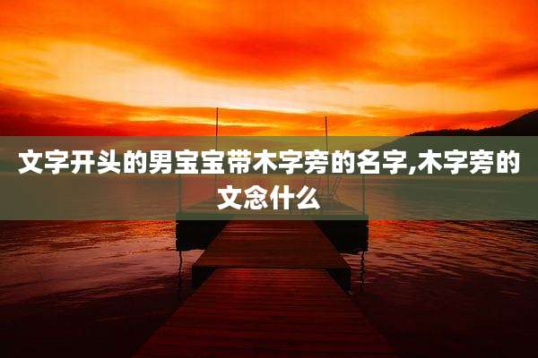 文字开头的男宝宝带木字旁的名字,木字旁的文念什么