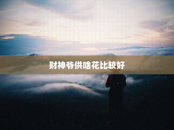 财神爷供啥花比较好