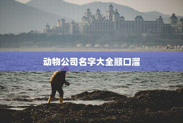 动物公司名字大全顺口溜