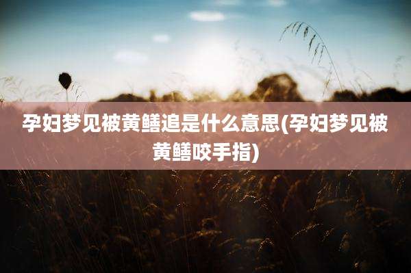 孕妇梦见被黄鳝追是什么意思(孕妇梦见被黄鳝咬手指)