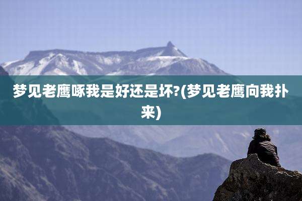 梦见老鹰啄我是好还是坏?(梦见老鹰向我扑来)