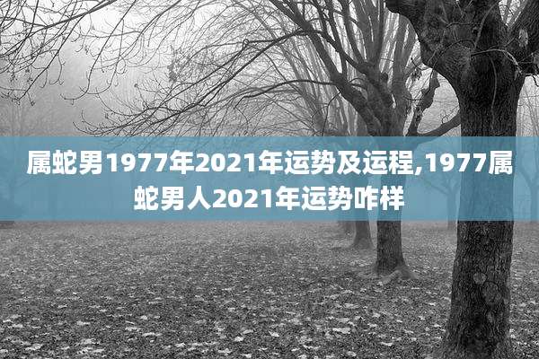 属蛇男1977年2021年运势及运程,1977属蛇男人2021年运势咋样