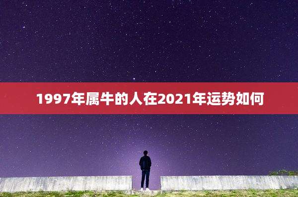 1997年属牛的人在2021年运势如何