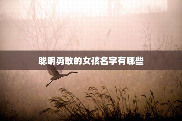 聪明勇敢的女孩名字有哪些