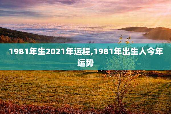 1981年生2021年运程,1981年出生人今年运势