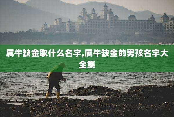 属牛缺金取什么名字,属牛缺金的男孩名字大全集