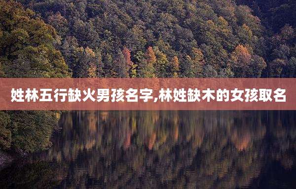 姓林五行缺火男孩名字,林姓缺木的女孩取名