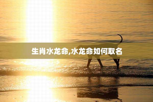 生肖水龙命,水龙命如何取名