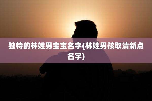独特的林姓男宝宝名字(林姓男孩取清新点名字)
