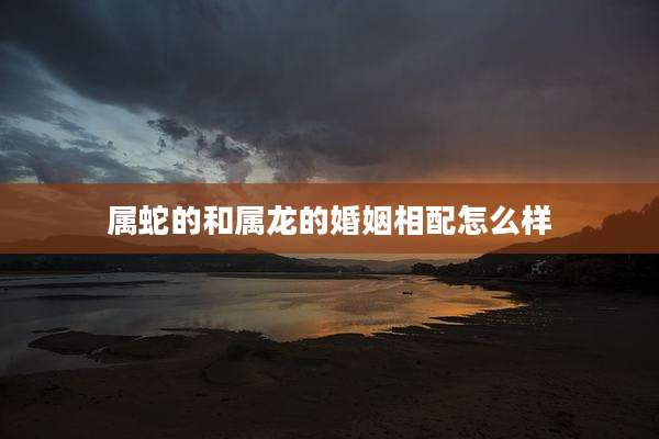 属蛇的和属龙的婚姻相配怎么样