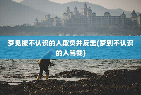 梦见被不认识的人欺负并反击(梦到不认识的人骂我)