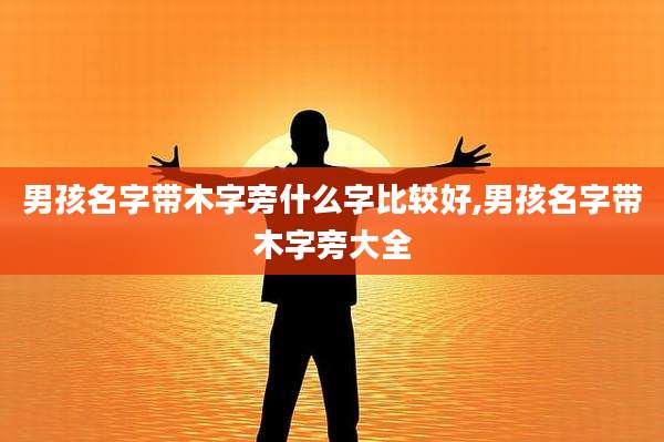 男孩名字带木字旁什么字比较好,男孩名字带木字旁大全