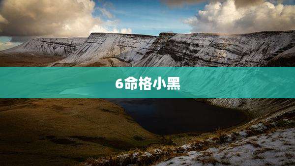 6命格小黑