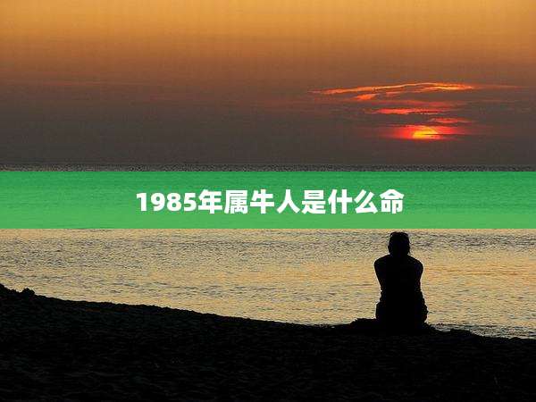 1985年属牛人是什么命