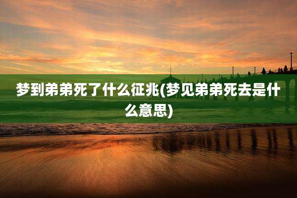 梦到弟弟死了什么征兆(梦见弟弟死去是什么意思)