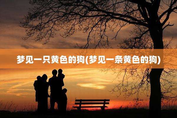 梦见一只黄色的狗(梦见一条黄色的狗)
