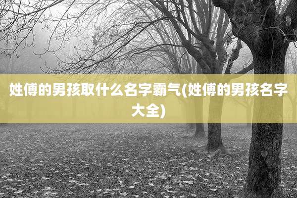 姓傅的男孩取什么名字霸气(姓傅的男孩名字大全)