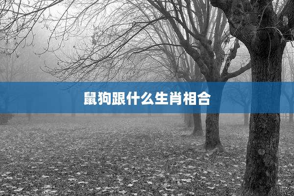 鼠狗跟什么生肖相合