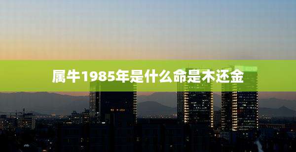 属牛1985年是什么命是木还金