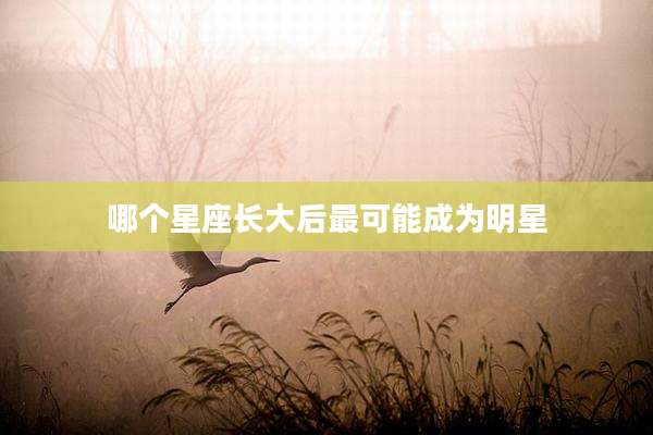 哪个星座长大后最可能成为明星