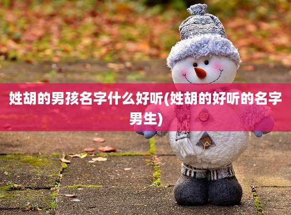 姓胡的男孩名字什么好听(姓胡的好听的名字男生)