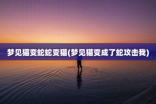 梦见猫变蛇蛇变猫(梦见猫变成了蛇攻击我)
