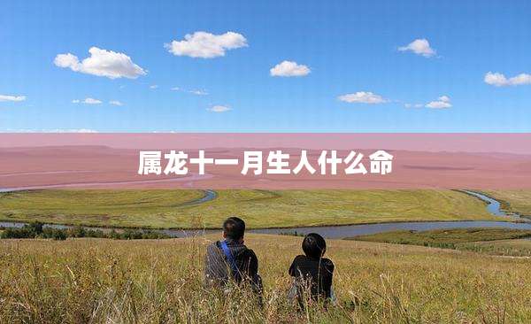 属龙十一月生人什么命