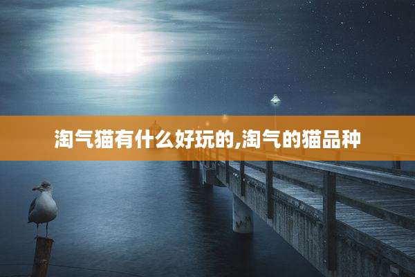 淘气猫有什么好玩的,淘气的猫品种