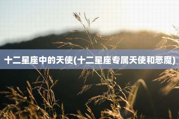 十二星座中的天使(十二星座专属天使和恶魔)