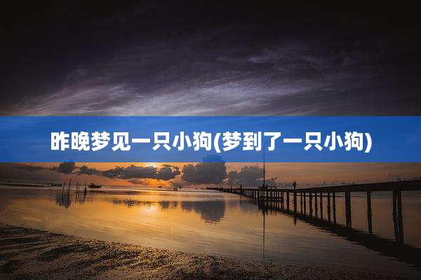 昨晚梦见一只小狗(梦到了一只小狗)