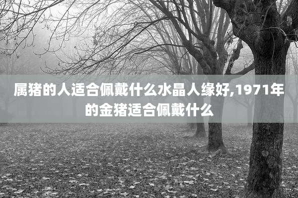 属猪的人适合佩戴什么水晶人缘好,1971年的金猪适合佩戴什么