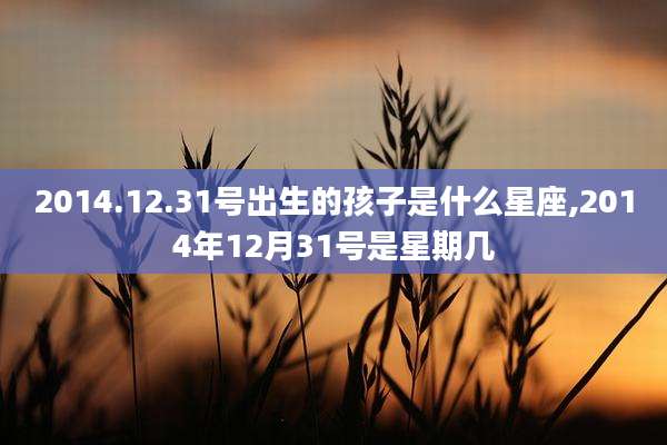 2014.12.31号出生的孩子是什么星座,2014年12月31号是星期几