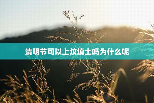清明节可以上坟填土吗为什么呢
