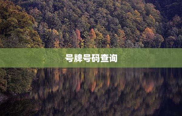 号牌号码查询