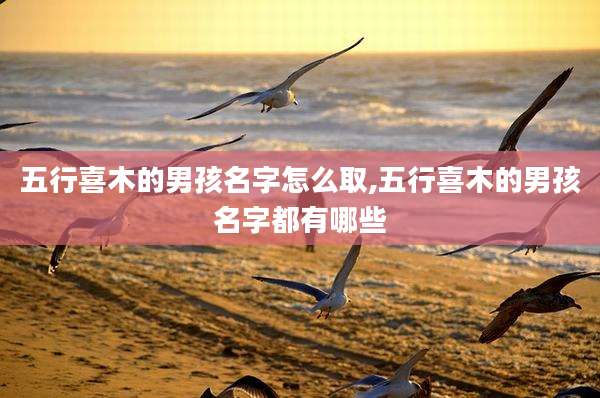 五行喜木的男孩名字怎么取,五行喜木的男孩名字都有哪些