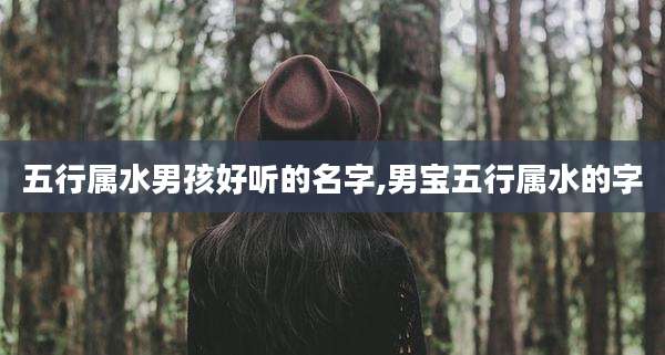 五行属水男孩好听的名字,男宝五行属水的字