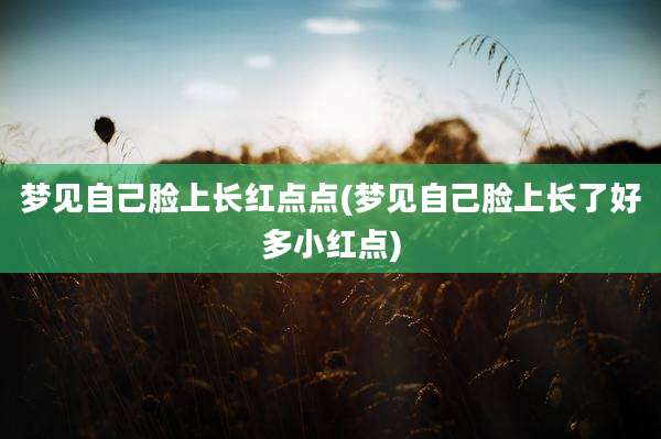梦见自己脸上长红点点(梦见自己脸上长了好多小红点)