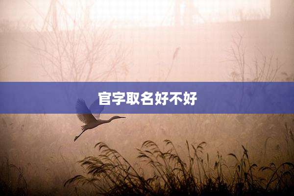 官字取名好不好